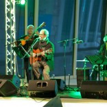 Xardín Desordenado Xardín Desordenado