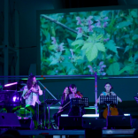 Concierto Galician Connection. Fotos: Janite