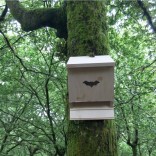 Refuxios para morcegos Día do Medio Natural