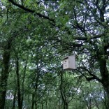 Niños para paxaros Acubillando a fauna do Gaiás