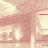 Networking AJE Galicia