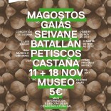 Cartel Magostos no Gaiás 2017 Cartel Magostos no Gaiás 2017