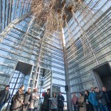 Inaugúrase 'Betula Pendula', intervención paisaxística nas Torres Hejduk Inaugúrase 'Betula Pendula', intervención paisaxística nas Torres Hejduk