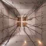 Inaugúrase 'Betula Pendula', intervención paisaxística nas Torres Hejduk Inaugúrase 'Betula Pendula', intervención paisaxística nas Torres Hejduk
