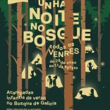 Unha noite no Bosque