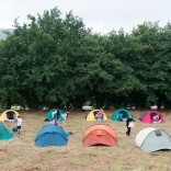 Unha noite no Bosque de Galicia, actividade de 'Verán no Gaiás' Unha noite no Bosque de Galicia, actividade de 'Verán no Gaiás'