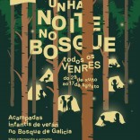 Unha noite no Bosque de Galicia, actividade de 'Verán no Gaiás'