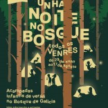 Unha noite no Bosque de Galicia, actividade de 'Verán no Gaiás' Unha noite no Bosque de Galicia, actividade de 'Verán no Gaiás'