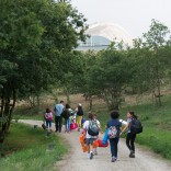 Unha noite no Bosque. Foto: Manuel G. Vicente