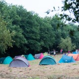 Unha noite no bosque. Foto: Manuel G. Vicente