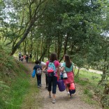 Unha noite no bosque. Foto: Manuel G. Vicente