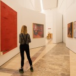 Fotos: Manuel G. Vicente Fotos: Manuel G. Vicente