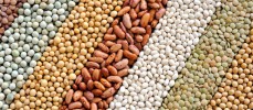 Ano Internacional dos legumes