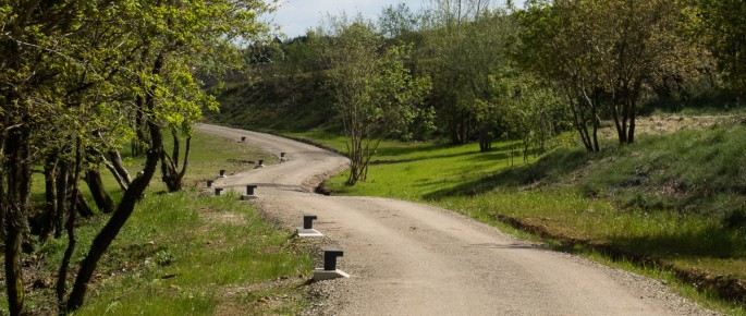 Visitas guiadas ao Bosque de Galicia Bosque de Galicia