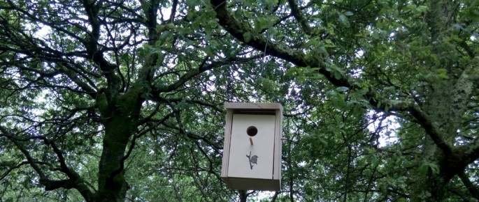 Acubillando a fauna do Gaiás