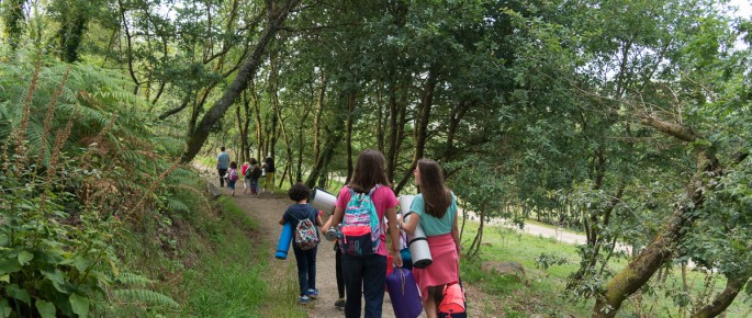 Unha noite no bosque. Foto: Manuel G. Vicente