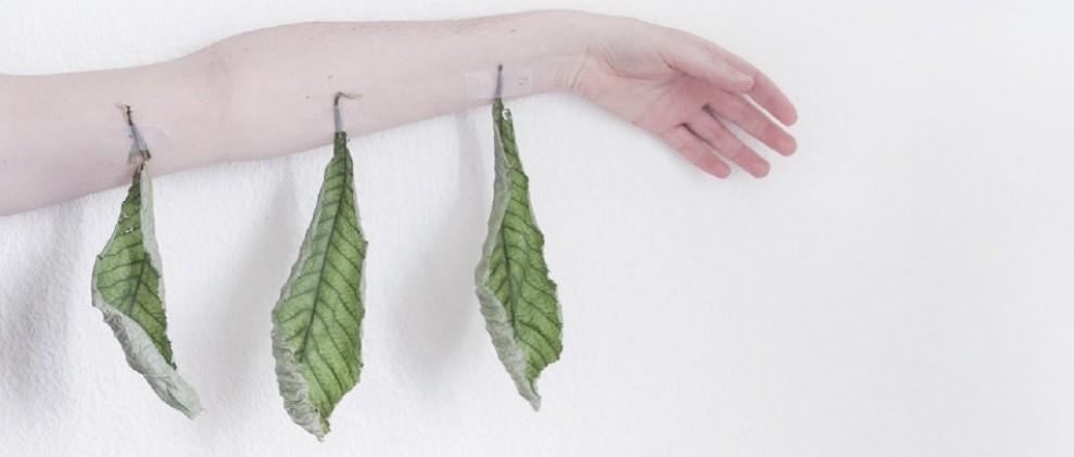 Arte é Moda Carolina Cruz Guimarey