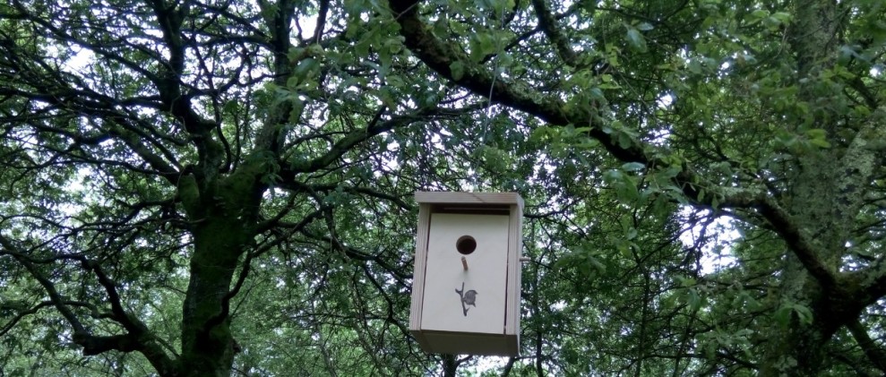 Acubillando a fauna do Gaiás Día do Medio Natural