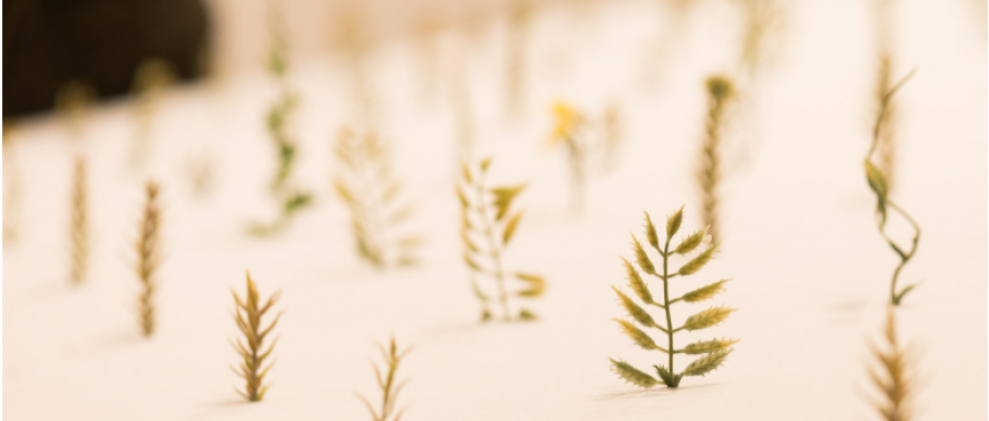 Specific Site, de Jorge Perianes