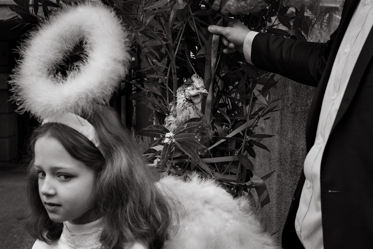 Festas do Santo Cristo - Carmenchu Alemán